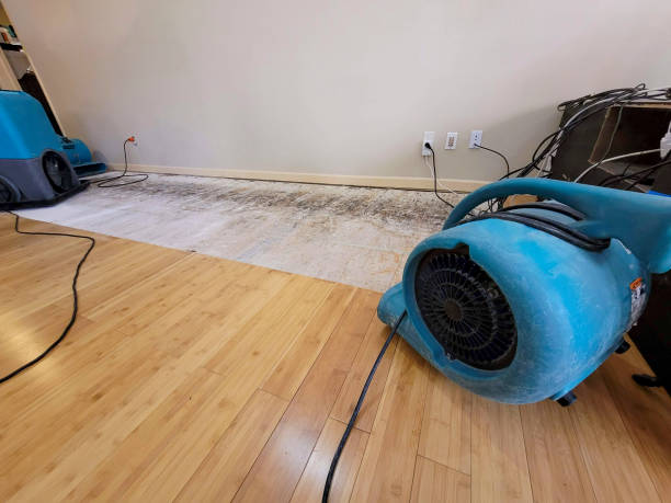 Professional Basement Flood Cleanup technician working in Saint George, UT